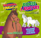 Kolorowa e... - Justyna Mrowiec -  foreign books in polish 