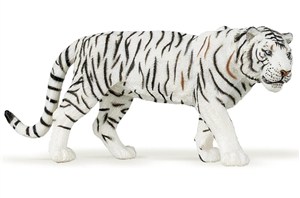 Picture of Tygrys biały