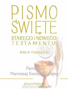 Picture of Biblia Tysiąclecia duża TW