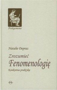 Obrazek Zrozumieć Fenomenologię