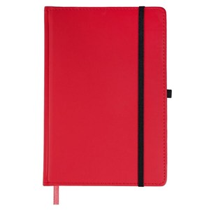 Picture of Notes A5 kratka czerwony EASY