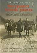 polish book : Partyzanci... - Adolf Pilch