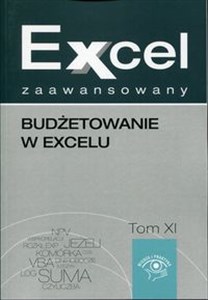 Picture of Excel zaawansowany Tom 11 Budżetowanie w excelu