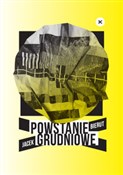 Powstanie ... - Jacek Bierut -  books in polish 