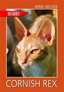 Obrazek Cornish rex