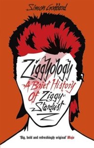 Picture of Ziggyology