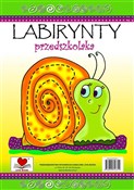 polish book : Labirynty ... - Agnieszka Wileńska