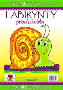 Picture of Labirynty przedszkolaka