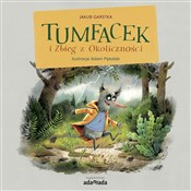 Tumfacek i... - Jakub Garstka -  books in polish 