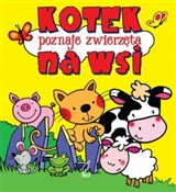 Kotek pozn... - Urszula Kozłowska -  foreign books in polish 