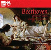 polish book : Beethoven:... - Fontanella Giuliano, Salinaro Tania