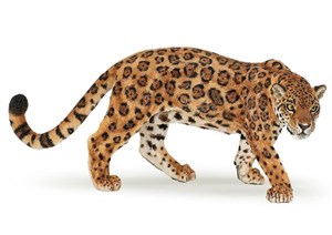 Picture of Jaguar