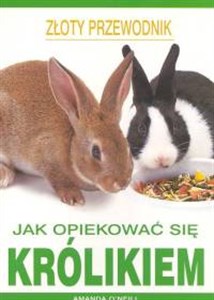 Obrazek Jak opiekować się królikiem