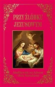 Przy żłóbk... - Jarosław Błażusiak -  Polish Bookstore 