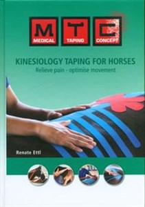 Picture of Kinesiology taping for horses