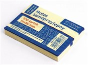 Książka : Notes samo...