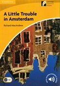 polish book : A Little T... - Richard MacAndrew