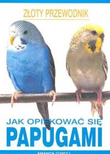 Obrazek Jak opiekować się papugami