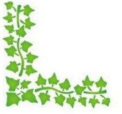 Szablon na... -  foreign books in polish 