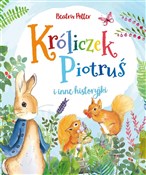 Króliczek ... - Beatrix Potter -  Książka z wysyłką do UK