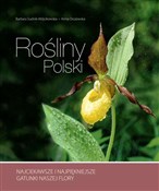 Polska książka : Rośliny Po... - Barbara Sudnik-Wójcikowska, Anna Orczewska