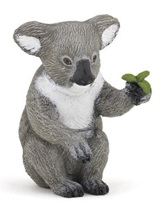 Picture of Koala