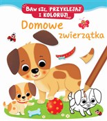 Polska książka : Domowe zwi... - Federica Iossa (ilustr.), Nathalie Belineau