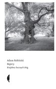 polish book : Hajstry Kr... - Adam Robiński