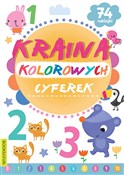 Kraina kol... - Opracowanie zbiorowe -  Polish Bookstore 