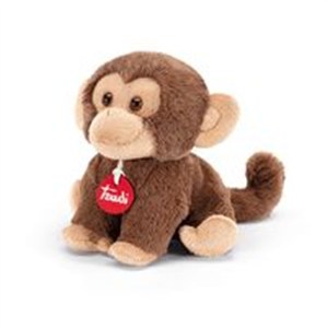 Picture of Małpka Puppy S