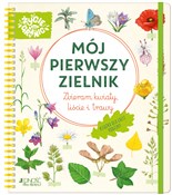 Mój pierws... - Stefanie Zysk -  foreign books in polish 