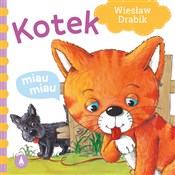 Kotek miau... - Wiesław Drabik, Agata Nowak -  books from Poland