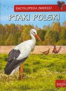 Picture of Encyklopedia zwierząt Ptaki Polski