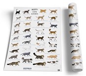 polish book : Plansza ed...