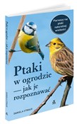 Ptaki w og... - Daniela Strauß -  Polish Bookstore 