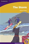 The Storm - Patricia Chapin -  foreign books in polish 