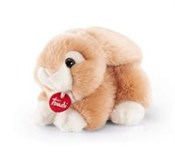 polish book : Królik Jer...