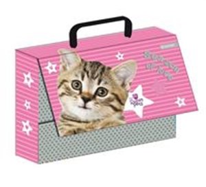 Picture of Teczka z rączką Walizeczka Kot .