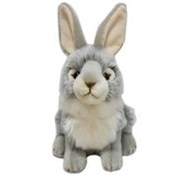 Książka : Fluffy Fam...