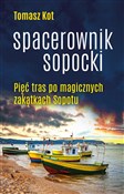 Polska książka : Spacerowni... - Tomasz Kot