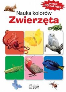 Picture of Nauka kolorów Zwierzęta