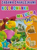 Kolorowank... -  books in polish 