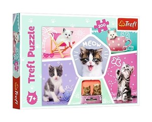 Obrazek Puzzle Kocie figle 200