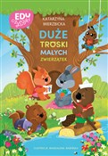 Polska książka : Duże trosk... - Katarzyna Wierzbicka