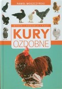 polish book : Kury ozdob... - Paweł Moszczyński