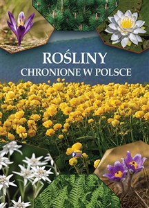 Picture of Rośliny chronione w Polsce