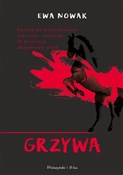polish book : Grzywa - Ewa Nowak