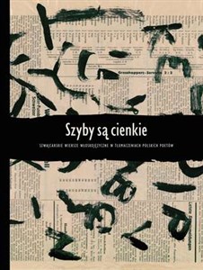 Obrazek Szyby są cienkie Szwajcarskie wiersze włoskojęzyczne w tłumaczeniach polskich poetów