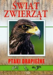 Obrazek Świat zwierząt Ptaki drapieżne