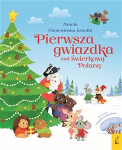 Picture of Pierwsza gwiazdka nad Świerkową Polaną